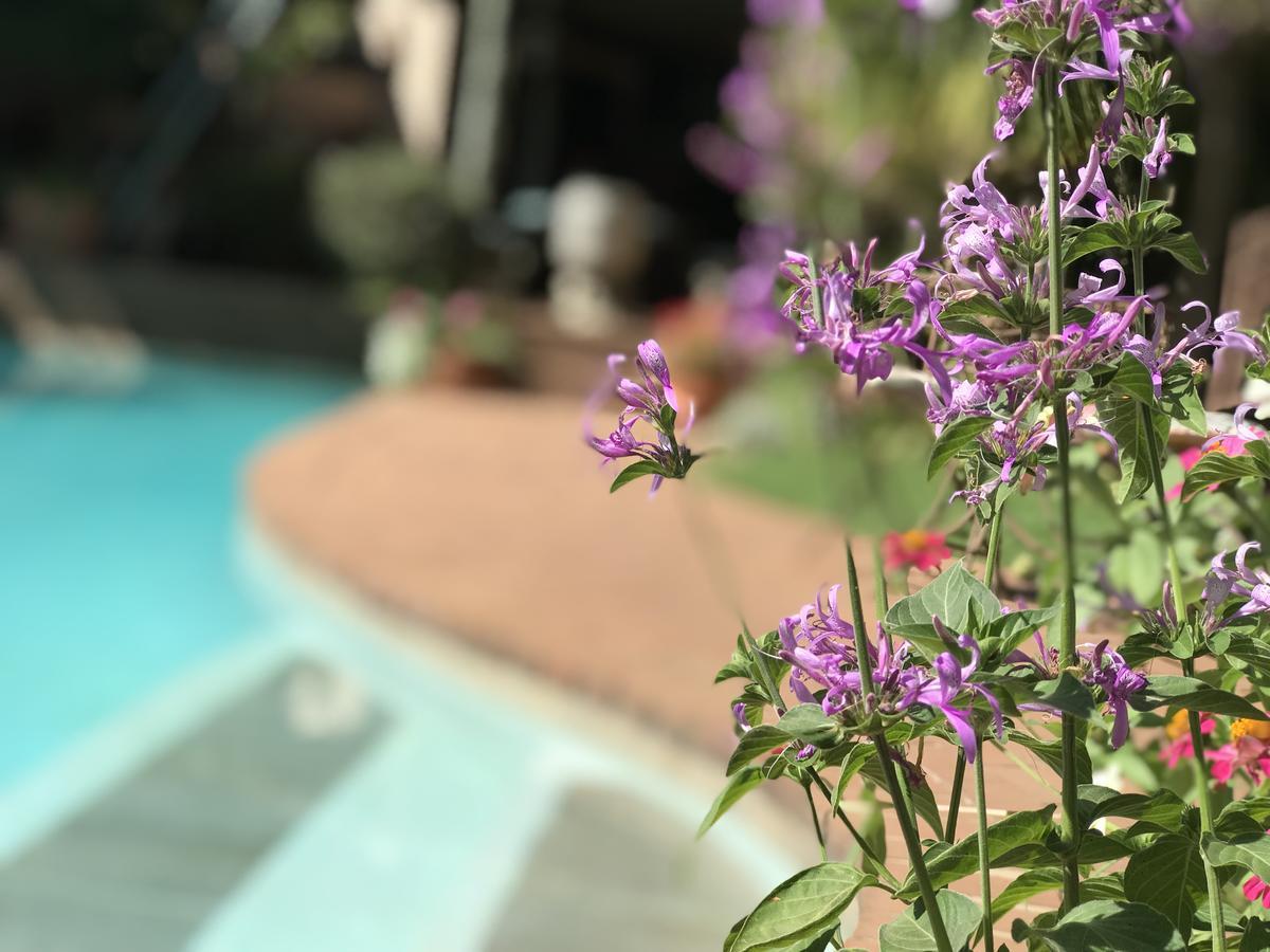 Claires Of Sandton Luxury Guest House Johannesburg Esterno foto